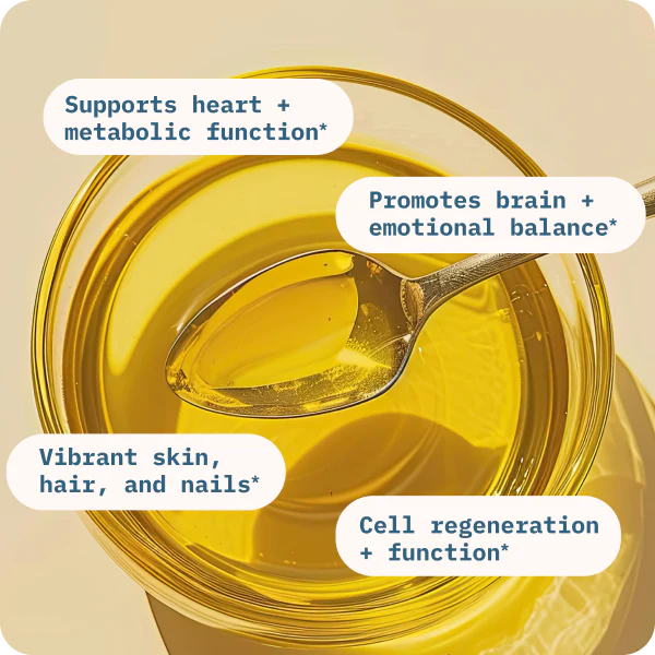 Balance Oil (Omega 6 + 3) - Image 4